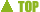 Inizio Pagina